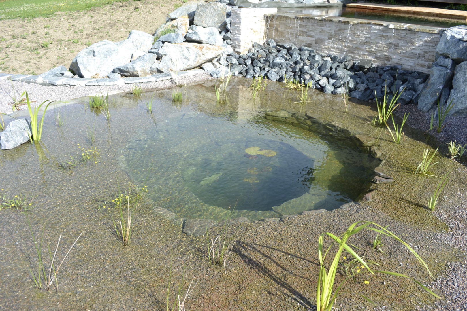 Piscine naturelle