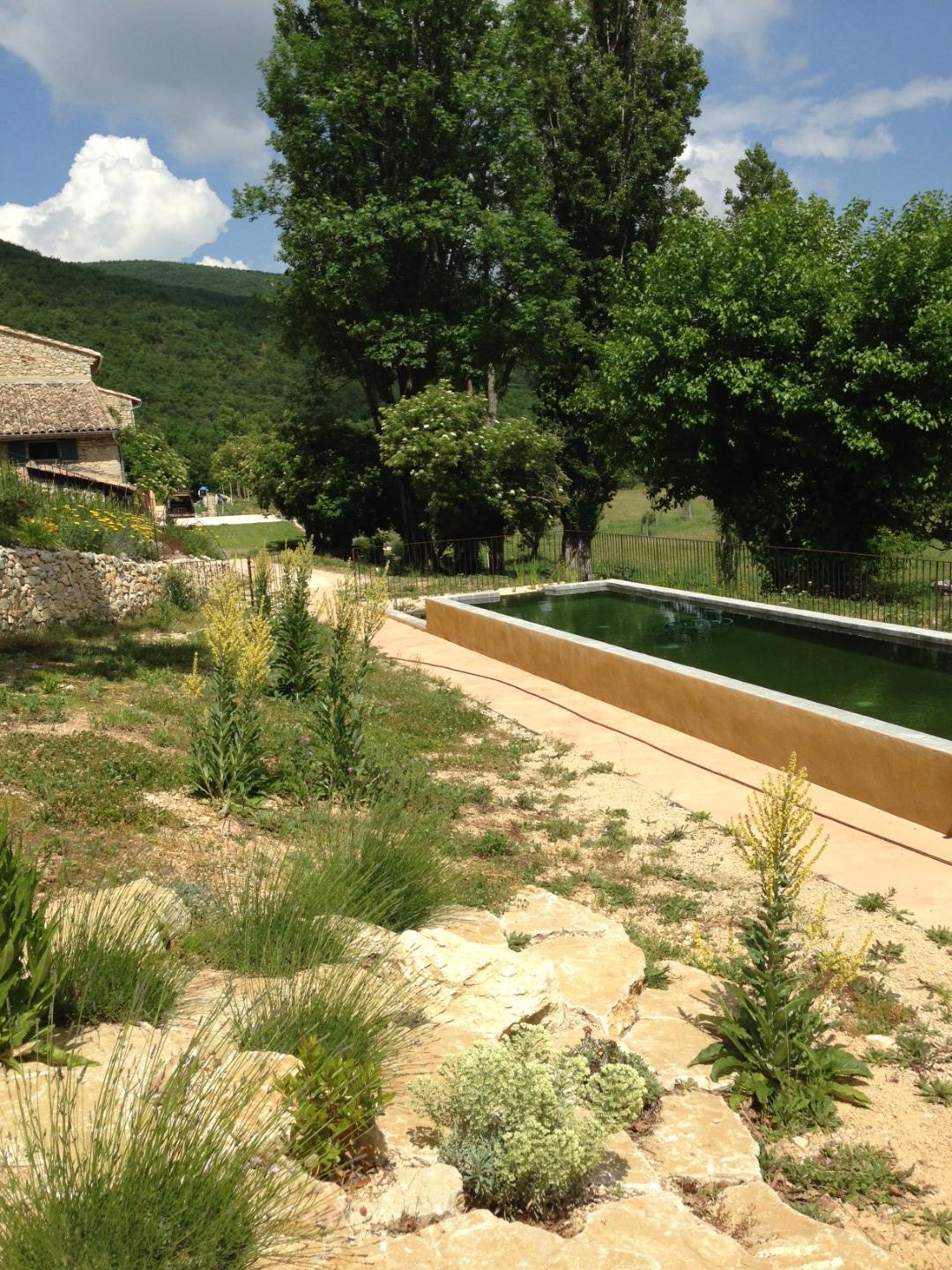 Piscine naturelle