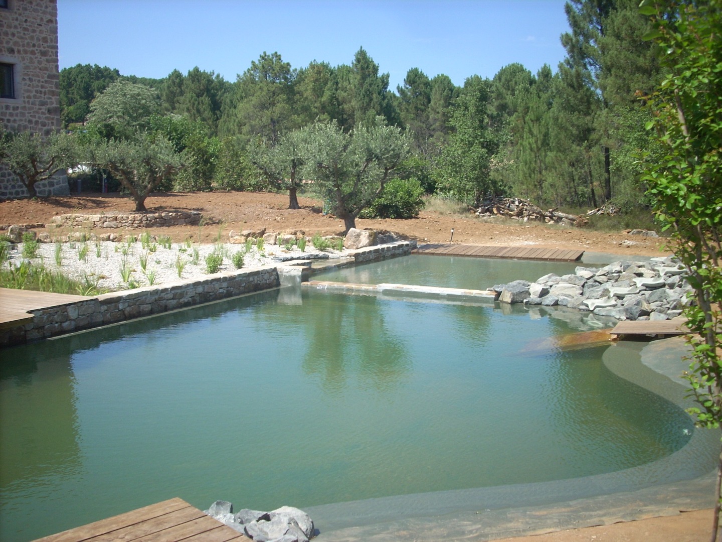 Piscine naturelle