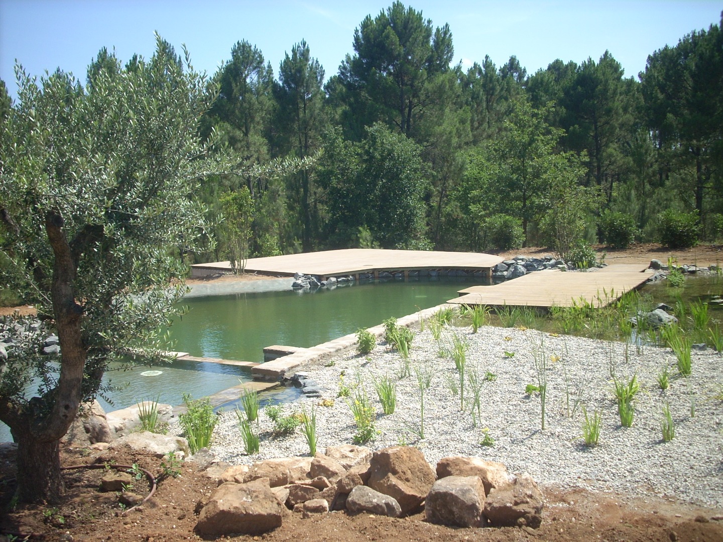 Piscine naturelle