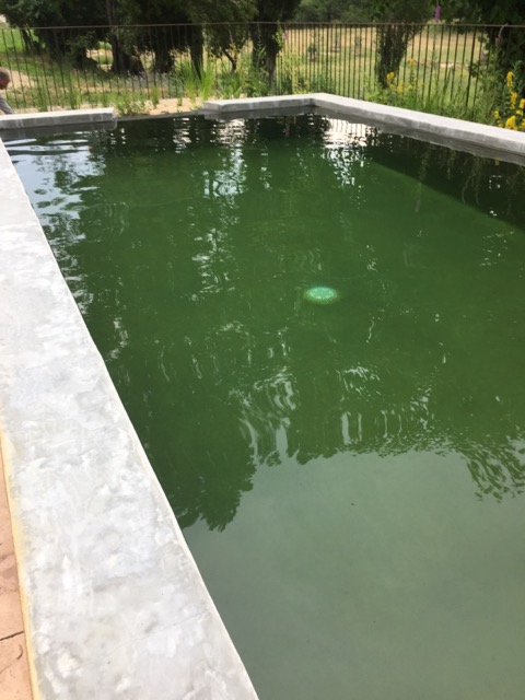 Piscine naturelle