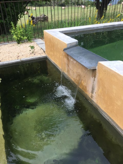 Piscine naturelle