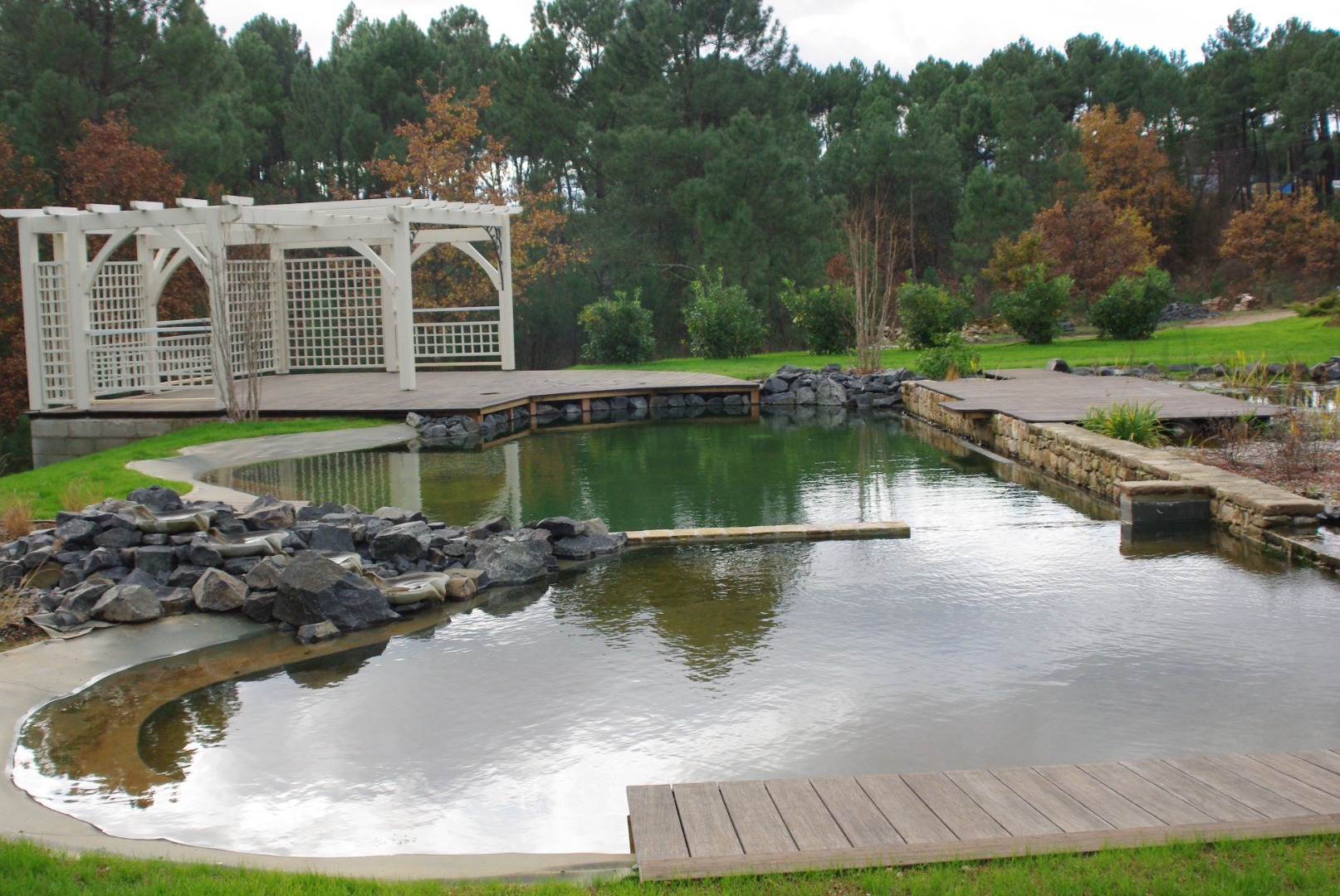 Piscine naturelle