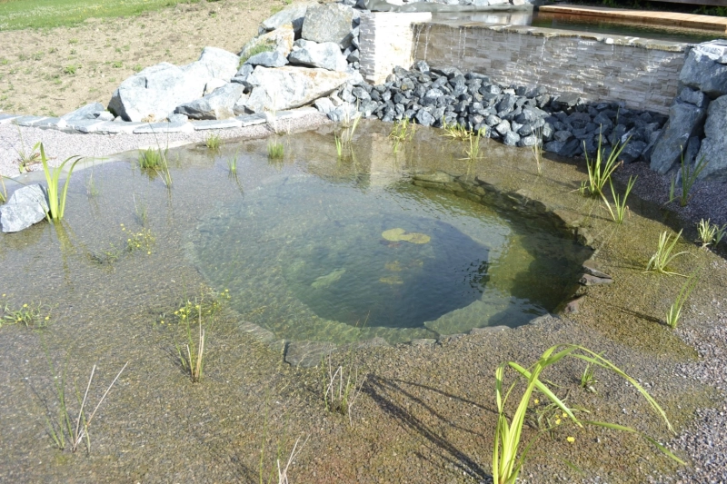 création piscine naturelle création piscine naturelle